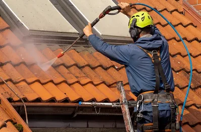Démoussage et hydrofuge de toiture à Bartrès